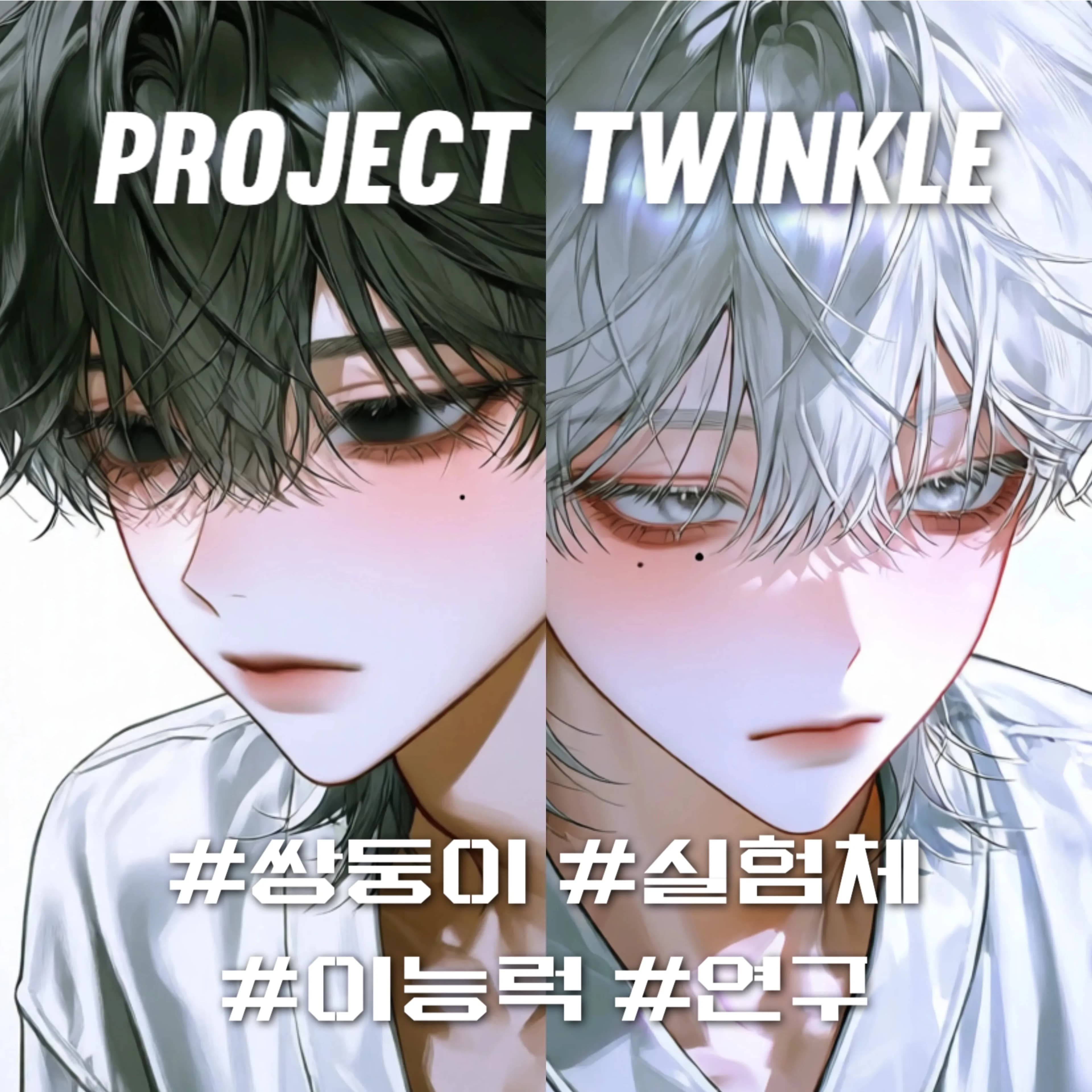 Project Twinkle C